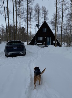 Covid-19 - Snow walks