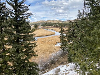 Covid-19 - The stream to Lake George