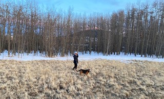 Covid-19 - Explorin the neighborhood