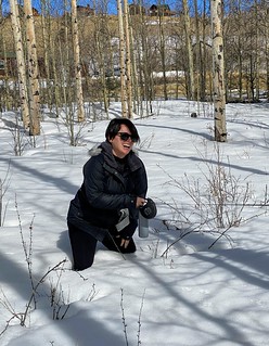 Covid-19 - The snow was deceptively deep. You'd be walkin along on top of it just fine and then all of a sud...