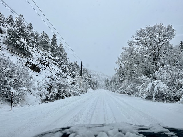 Totally unplowed, hah