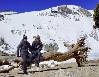 I almost sent us both flying off the back of this log after running over to jump on for a pic