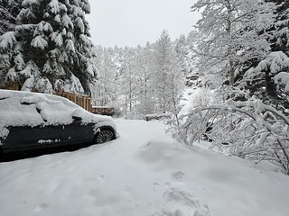 Snow - Woke up to a foot of snow on the day that we have to drive home, haha