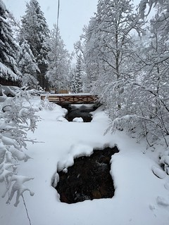 Snow - Snow n Streams