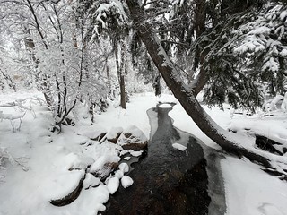 Snow - The stream in front of our cabin was very serene. Especially with the fresh snow