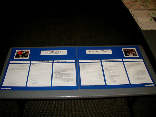 Shell We?  Yes, We Shell.