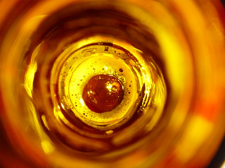 Drinks - Inside an empty beer bottle