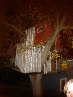 Strider's tree house and Cedric's eyeball