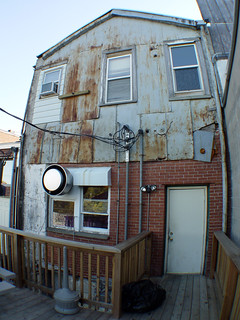 The Back of Chameleon's