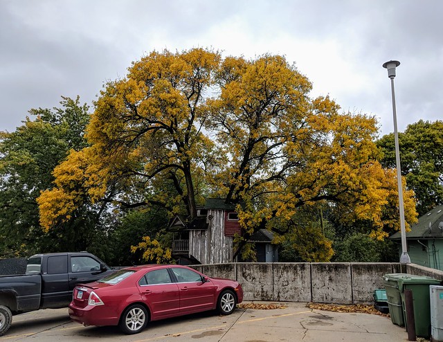 Strider's tree house is gettin crazy
