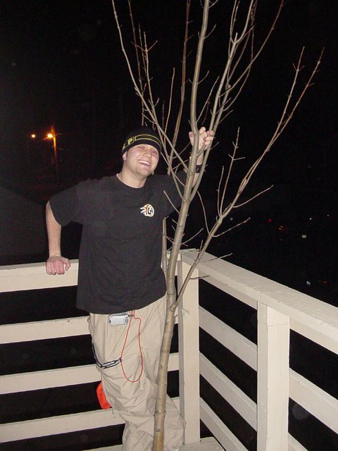 I brought that tree home