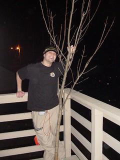 I brought that tree home