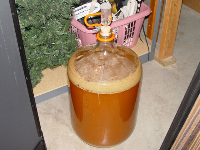 Beer after 57 hours