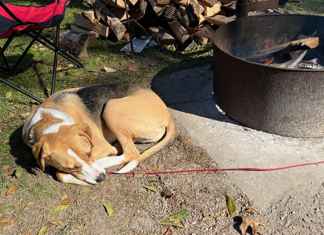 Stayin warm by the fire