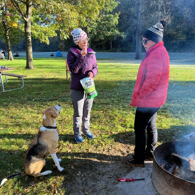 Durby would like some crispy peas