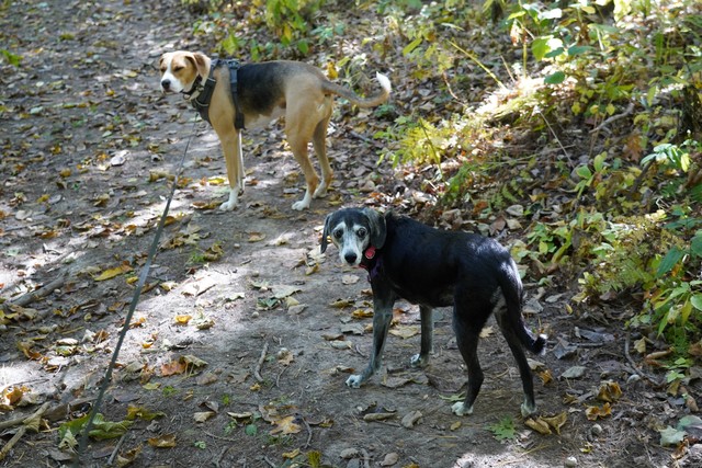 Making sure we're still comin