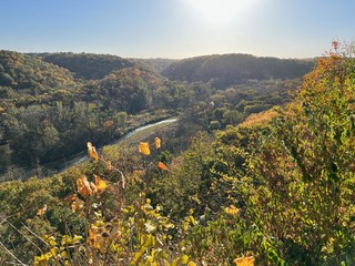 Little Paint Lookout