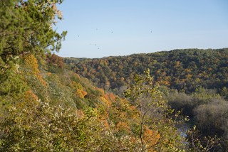 Little Paint Lookout