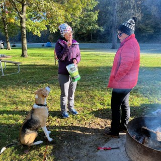Durby would like some crispy peas