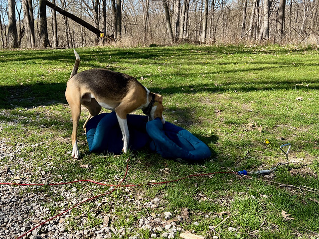 Sometimes, witching hour comes twice a day.