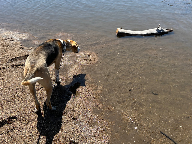 This log was very concerning for some reason