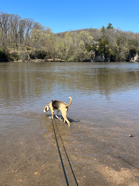 Checkin out the cedar river