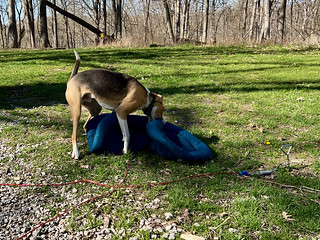 Sometimes, witching hour comes twice a day.