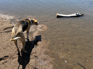 This log was very concerning for some reason