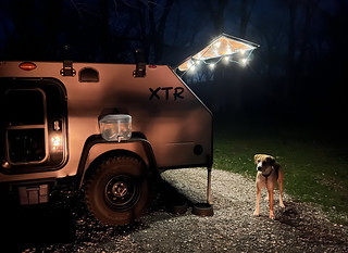 Durby's first night camping with us