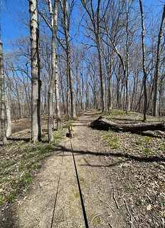 Hiking - Hikin around the Pal