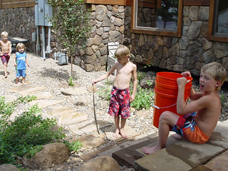 Snake - Kids found a snake