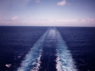 The trail of 2 - 15 rudders