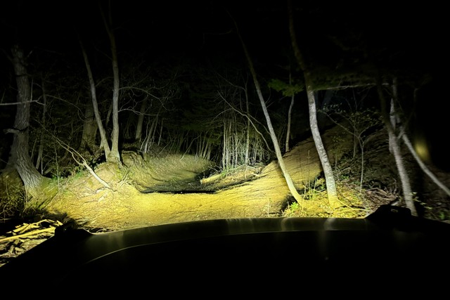 "Let's go down to the river! I love night wheelin" - Steve