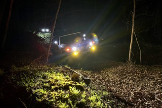 Danny comes up the ravine