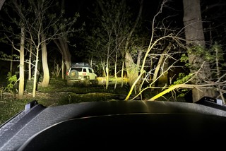 Danny Romero - Trucks in the woods