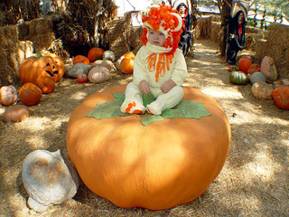 Texas - Daniel on a Pumpkin