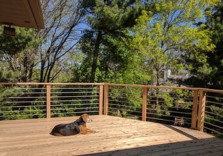 Garth is happy about the sun finally showing itself.