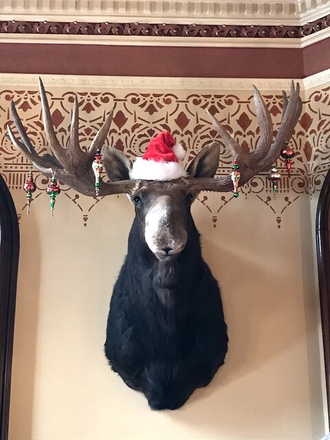 An Elk at the Governor's mansion