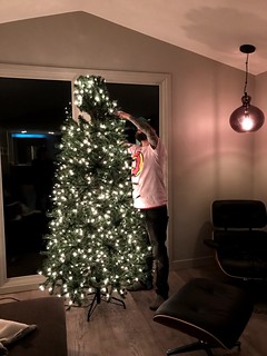 2737 - Puttin up this damn tree