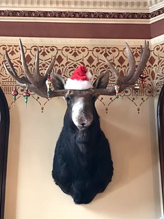 An Elk at the Governor's mansion