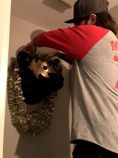 Givin that bear some tinsel bling