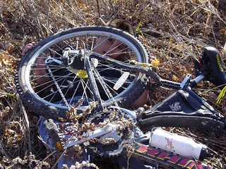 Bicycle - Anthony flipped his bike