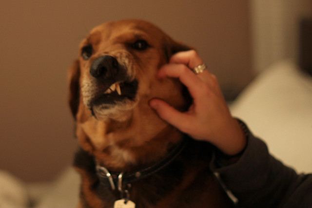 Garth has a ticklish spot on his cheek