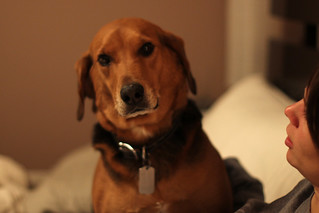 frame - Garth is not entertained