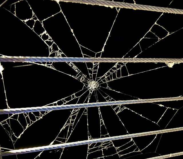 A very spooky spider web
