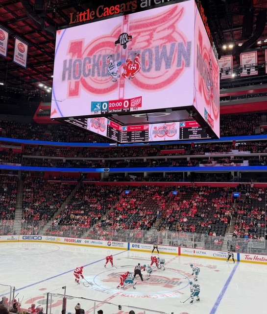 100 years of red wings