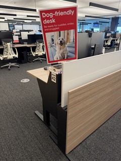 Favorite desk at the office