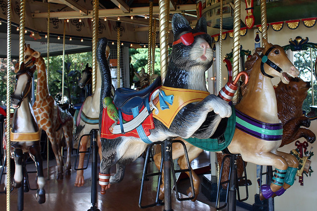 A crazy pirate cat at Heritage Carousel