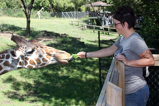 Feeding a giraffe at the Blank Park Zoo