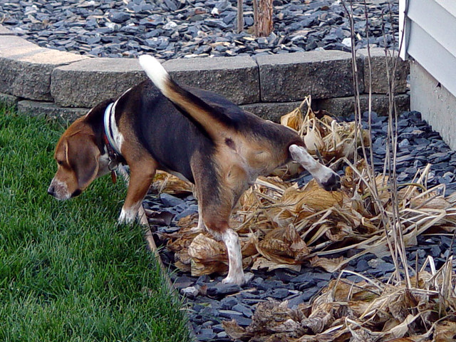 Arnold was the only man there